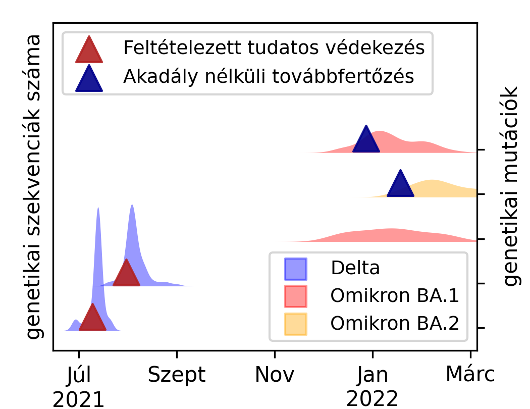 mintazatok